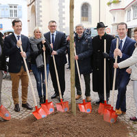 Bild vergrößern: Als Symbol für die Städtepartnerschaften und das Zusammenwachsen Europas wurde eine Robinie vor dem Rathaus gepflanzt