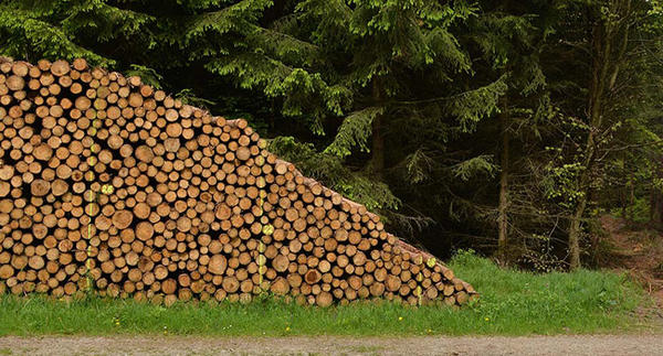 Brennholz online kaufen
